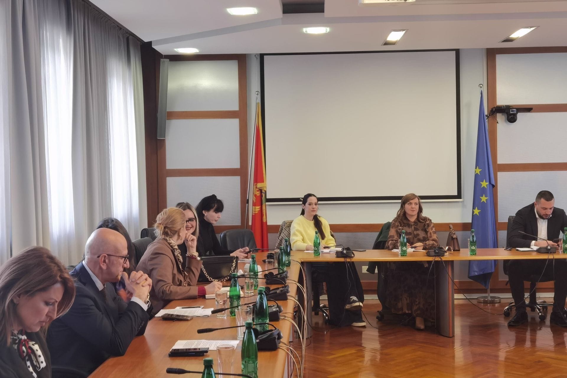 Sastanak u Ministarstvu vanjskih poslova sa visoko rukovodnim kadrom u Vladi Crne Gore, na temu međunarodne razvojne saradnje i međunarodne humanitarne pomoći