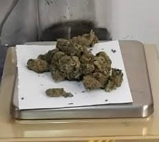 gallery.media[0].alt