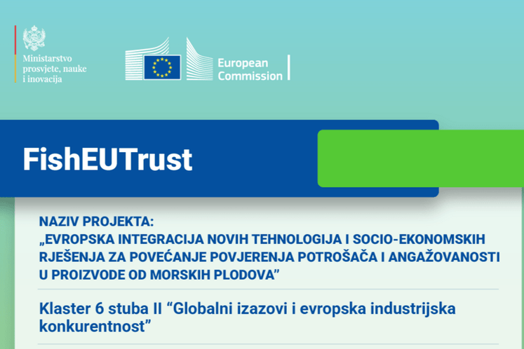 Promocija HE projekata