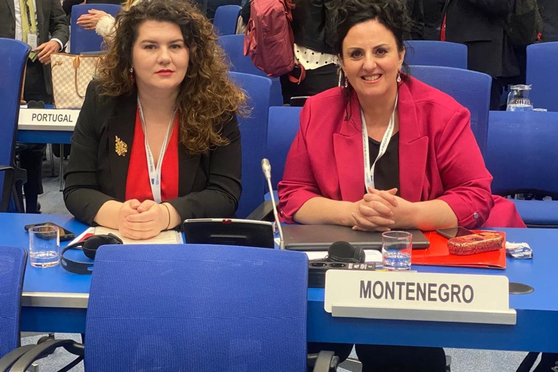 Delegacija Crne Gore učestvuje na Desetom preglednom sastanku strana ugovrnica Konvencije o nuklearnoj sigurnosti (CNS)