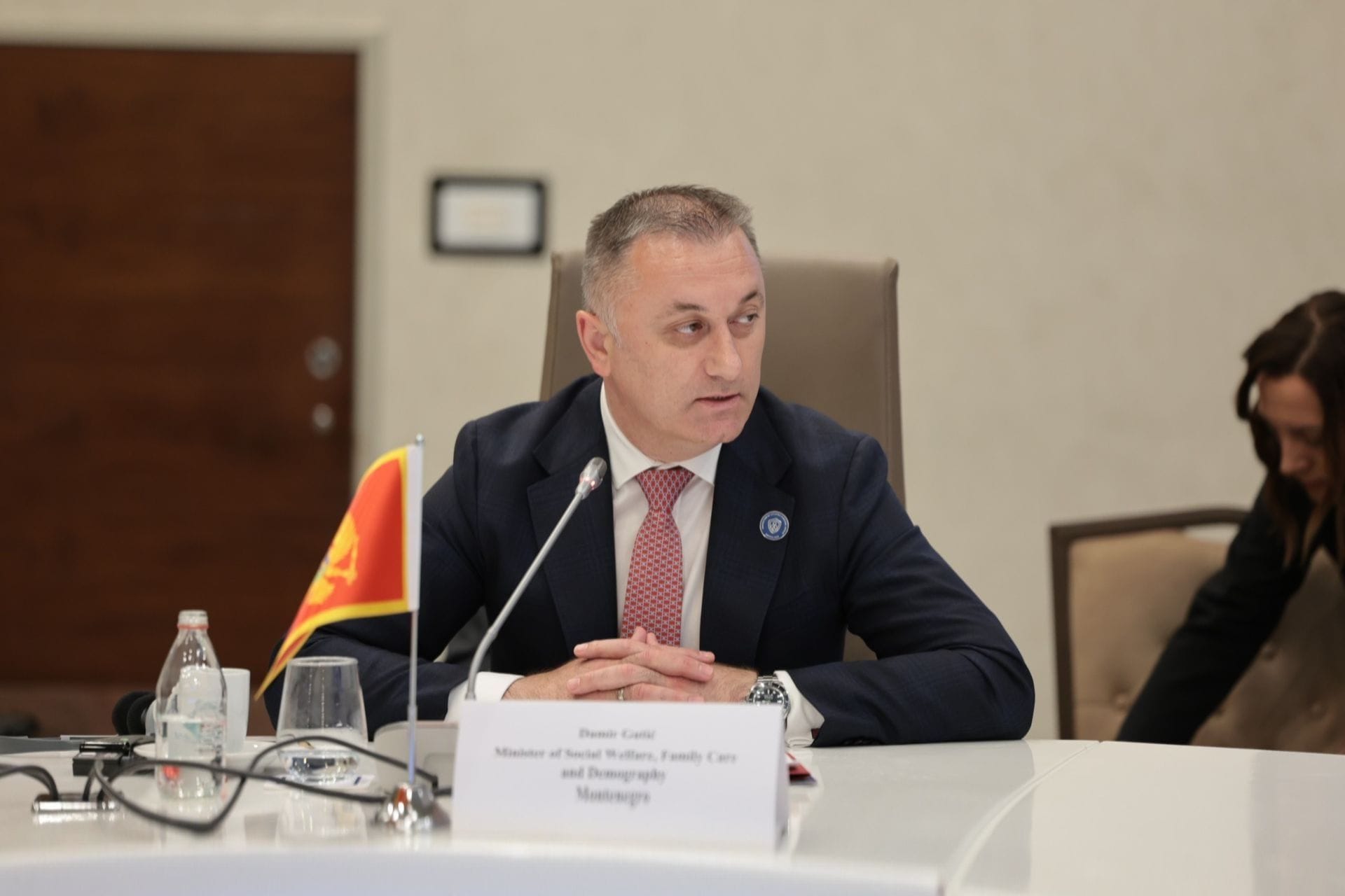 Vlada Crne Gore - fotografija članka