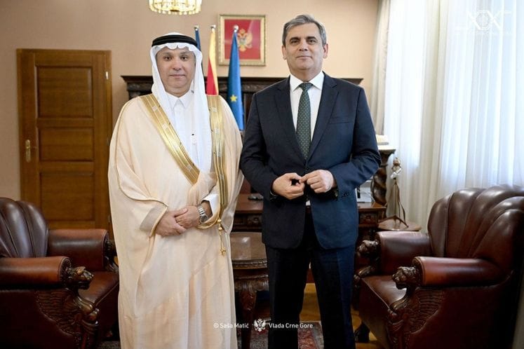 Ibrahimović i Hifzi