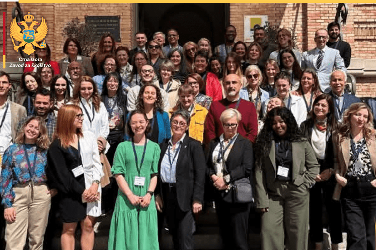 Међународна сарадња