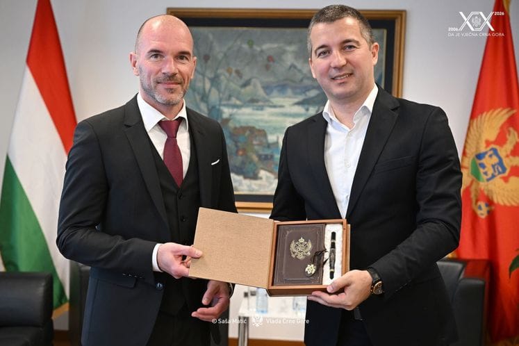 Aleksa Bečić - Peter Hetei