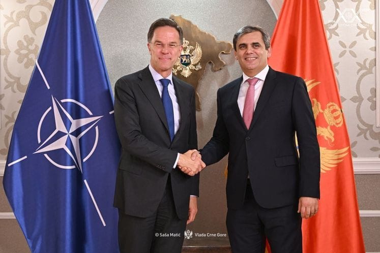 Ibrahimović - Rutte