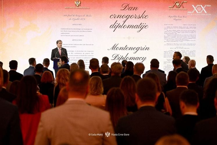 DPM Ibrahimović