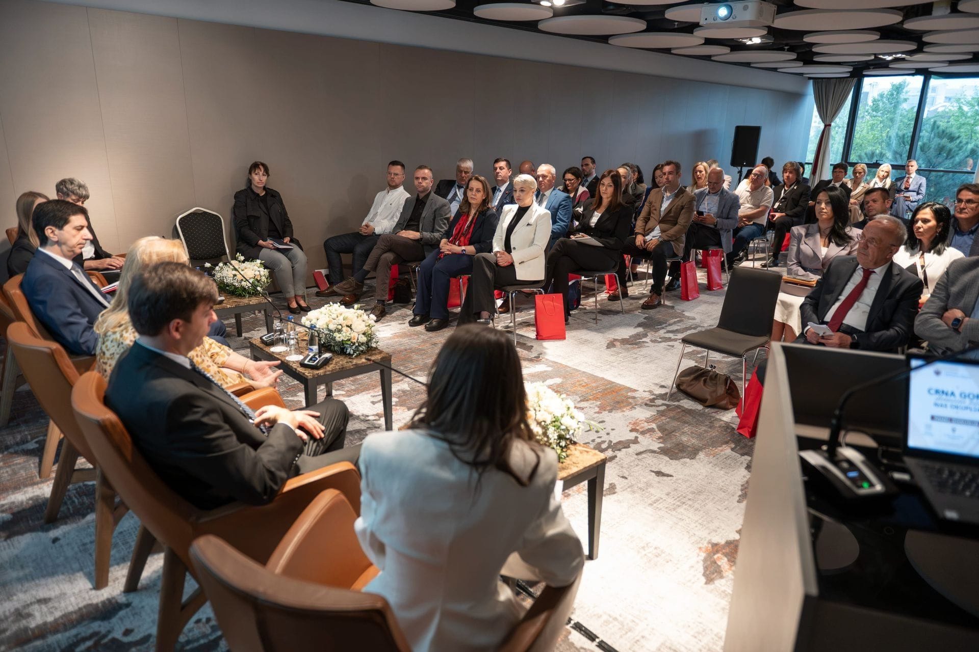 Ministarstvo dijaspore je organizovalo panel diskusiju pod nazivom „Crna Gora, domovina koja nas okuplja“