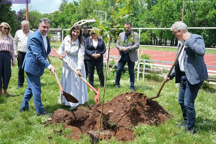 Ratko Žarić