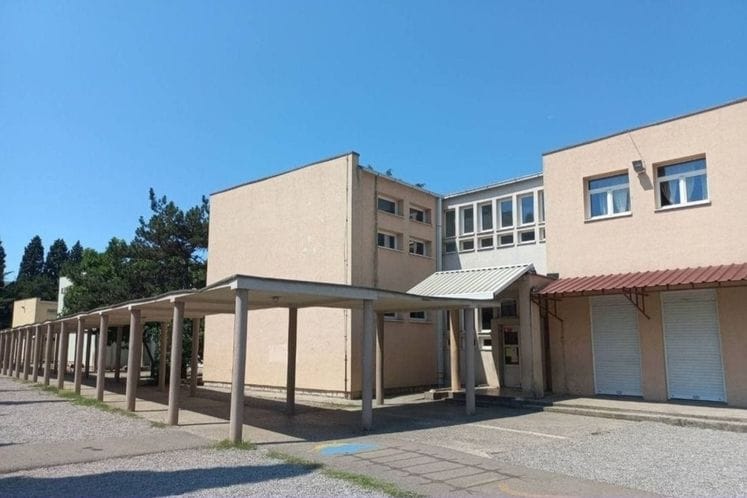 Vuk Karadžić