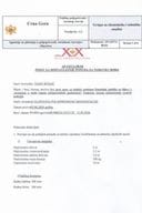 Vojin Scekic