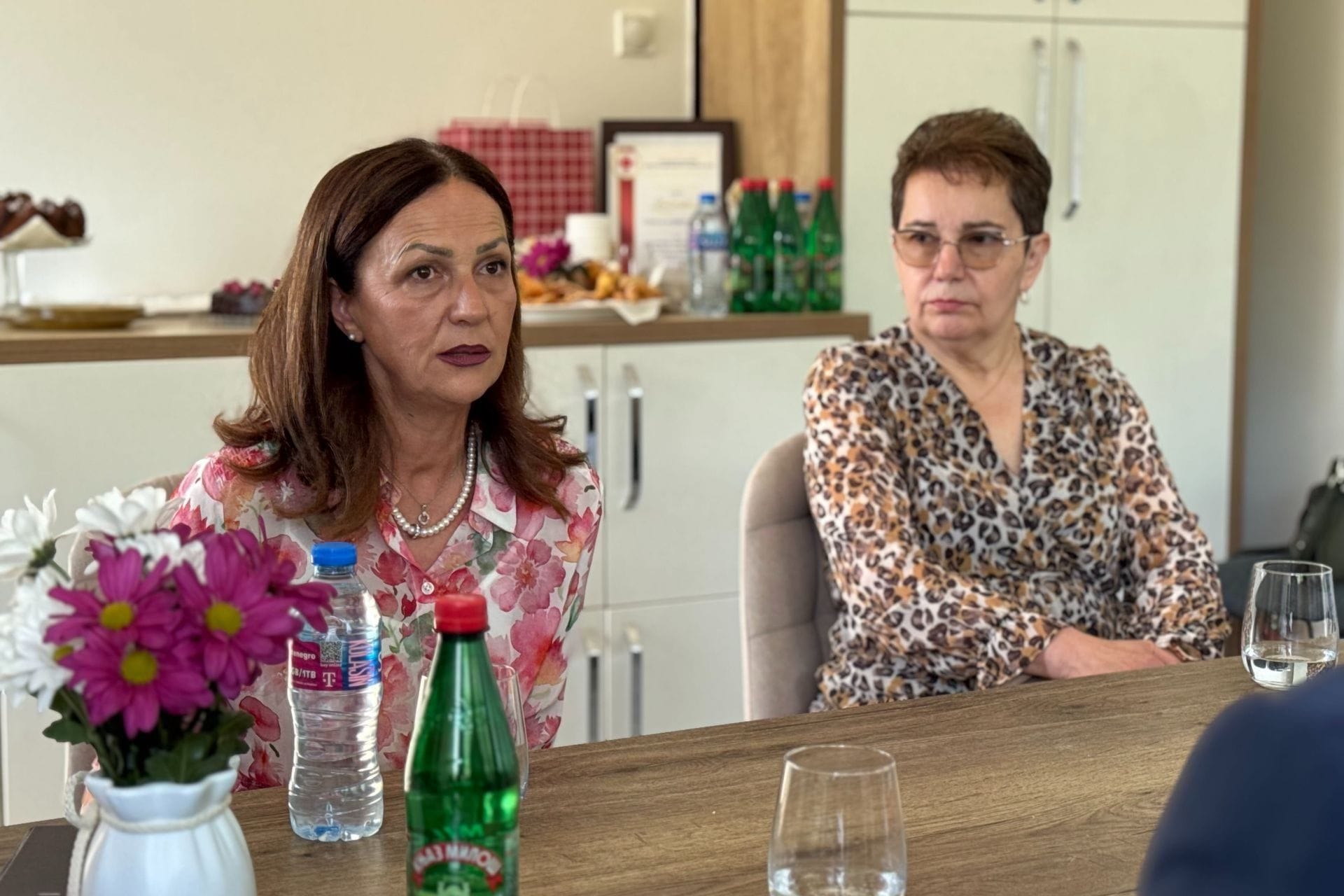 Vlada Crne Gore - fotografija članka