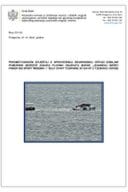 Konačni izvještaj o sprovedenoj sigurnosnoj istrazi ozbiljne pomorske nesreće sudara plovnih objekata marke „Jeanneau Merry Fisher 895 sport" MNE 0904 i "Gulf Craft Tourning 36" 224-KT u tjesnacu Verige