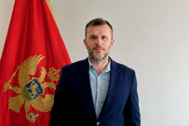 Сенид Стриковић