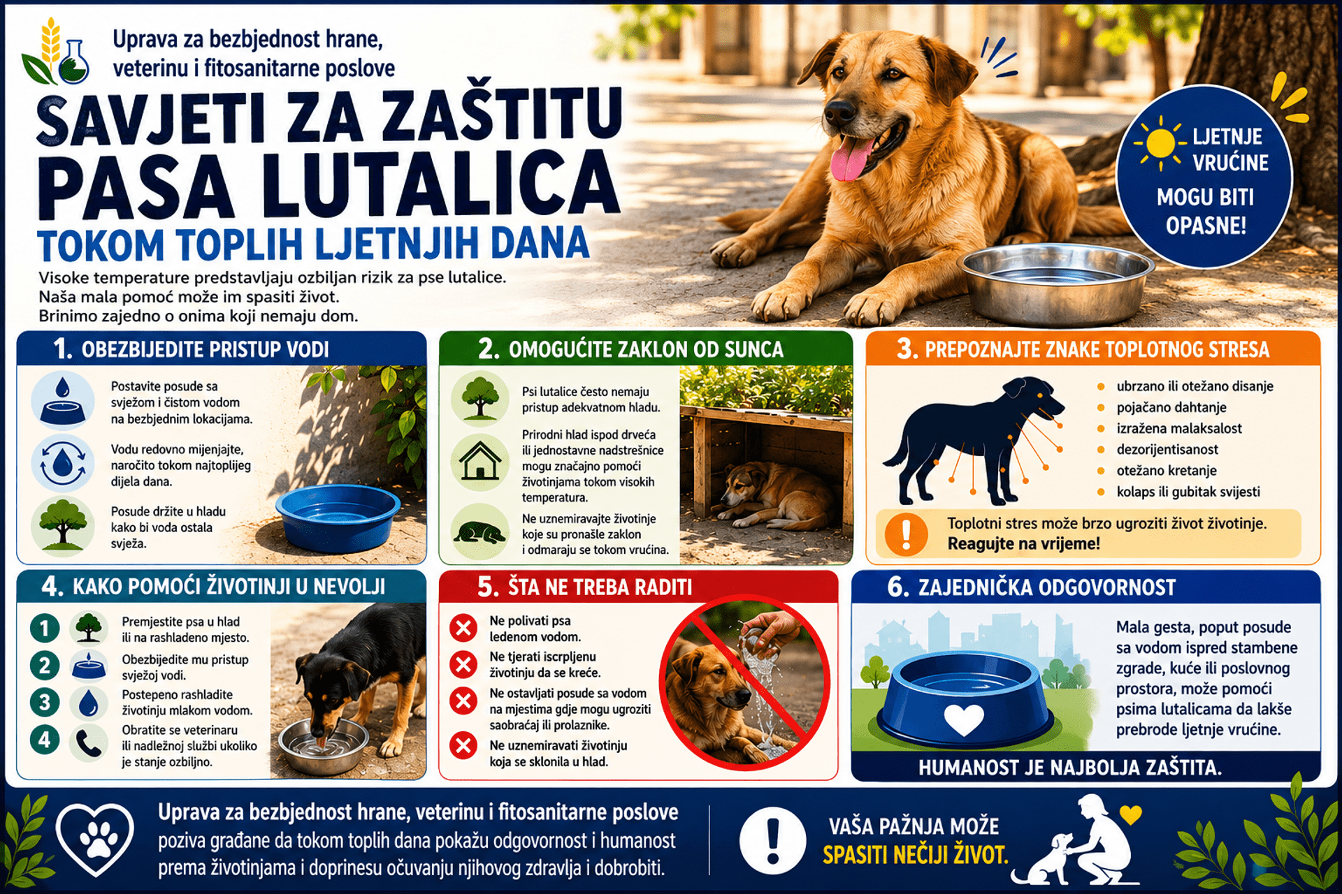Infografik psi utalice