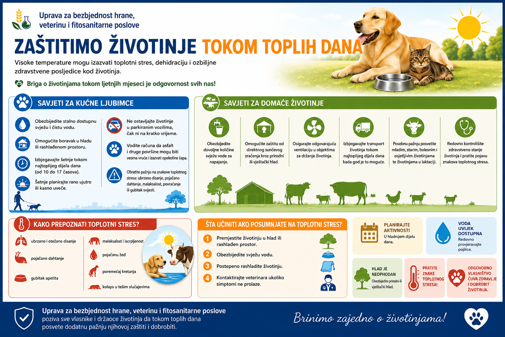 Infografik savjeti životinje