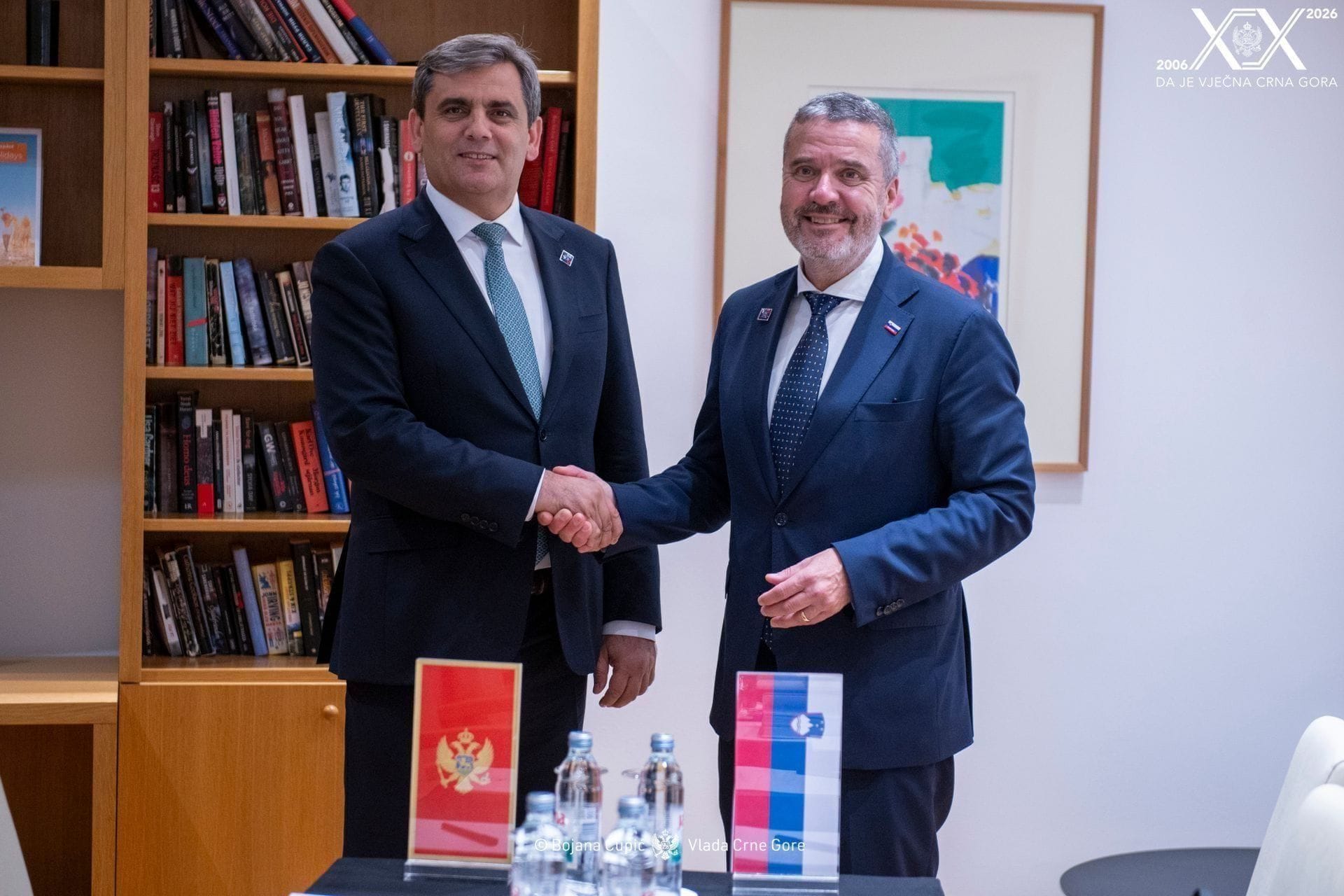 DPM Ibrahimović