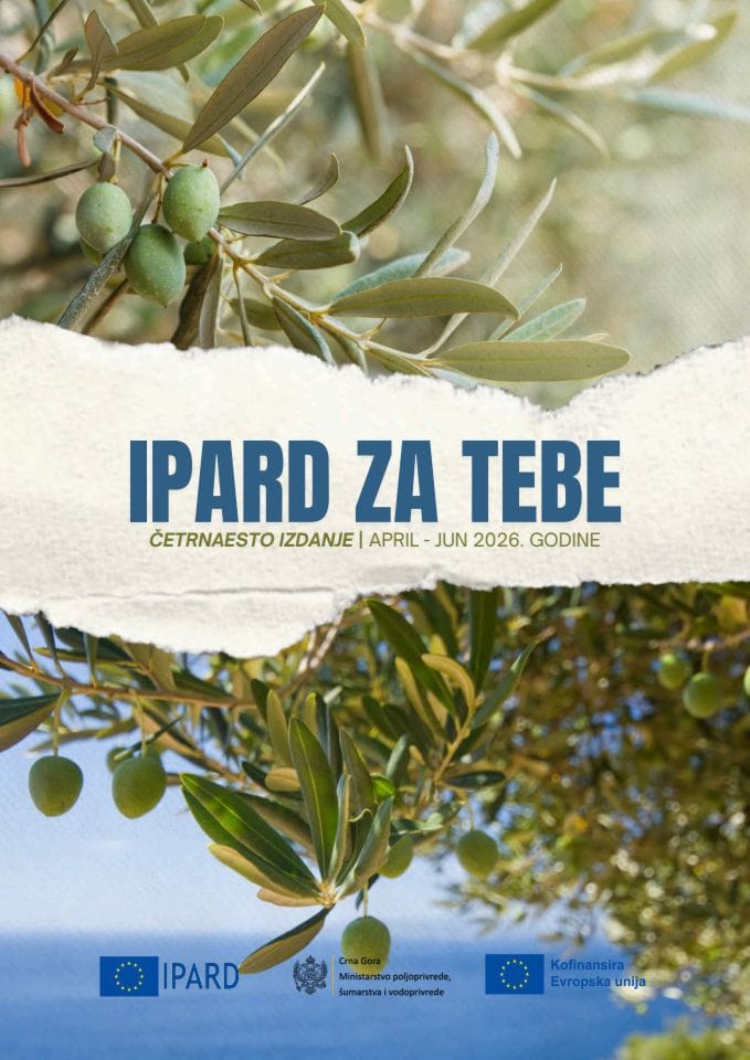 14 izdanje Biltena - "Ipard za tebe"