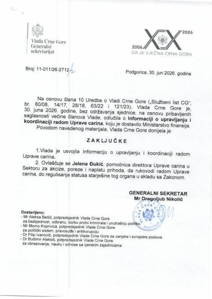 Informacija o upravljanju i koordinaciji radom Uprave carina - Zaključci