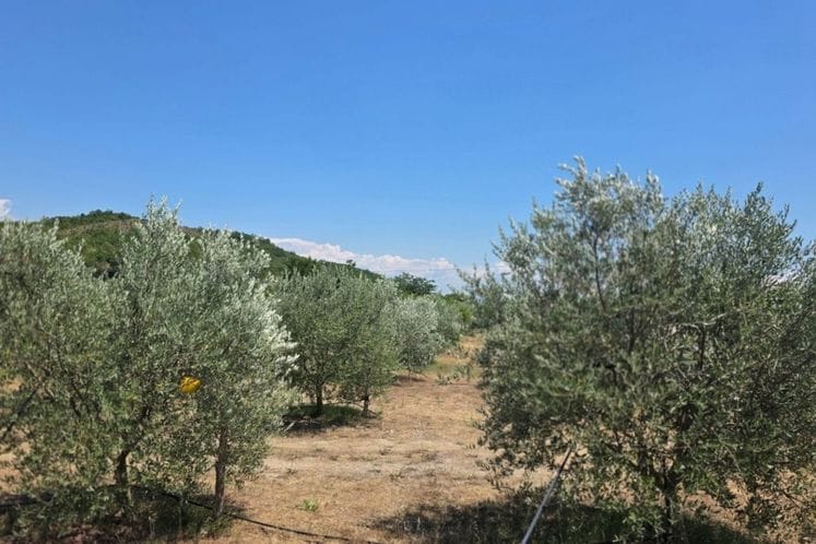 Terenske aktivnosti - Ulcinj