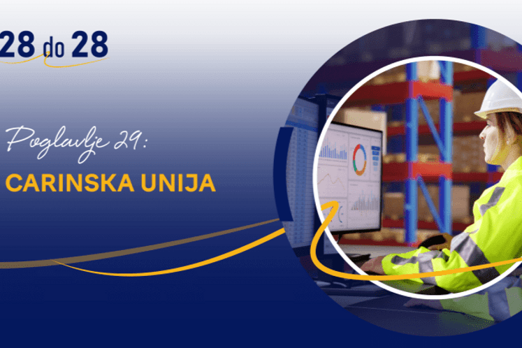poglavlje 29 carinska unija logo