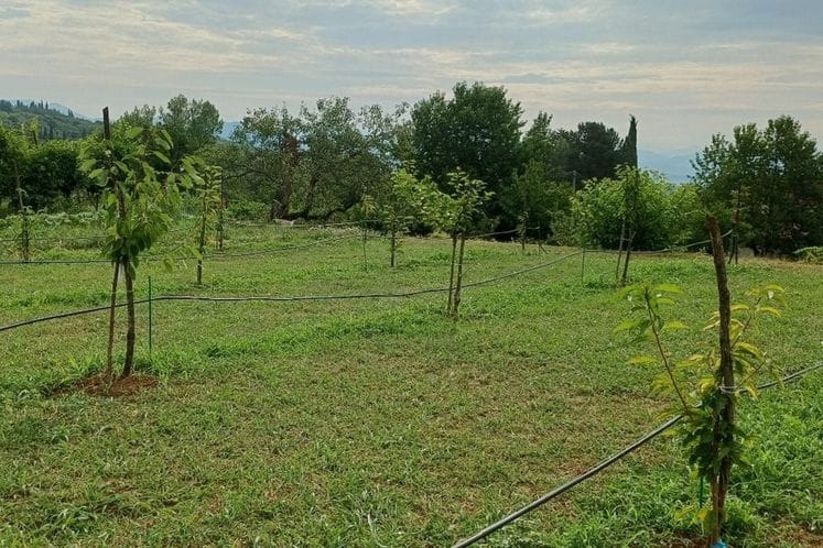 Posjeta proizvođaču trešanja - selo Zagarač