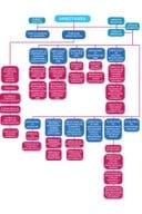 Organogram - Ministarstvo prosvjete, nauke i inovacija