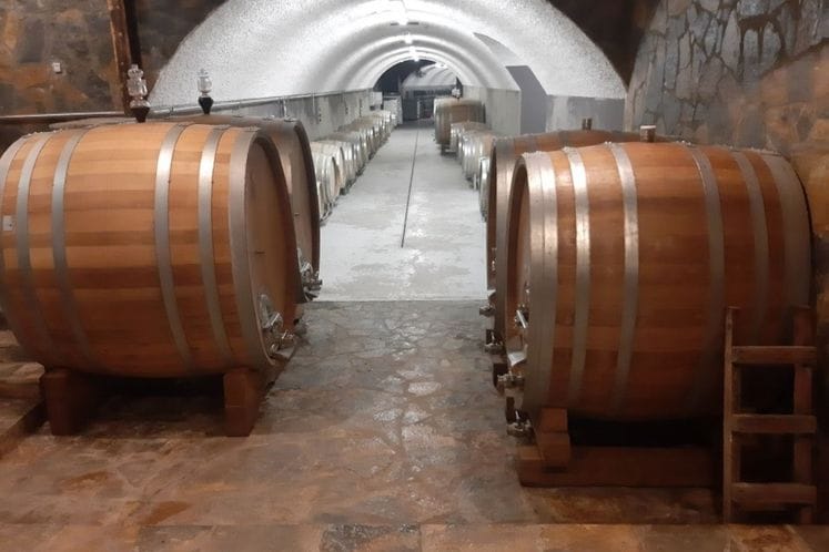 Vinski podrumi