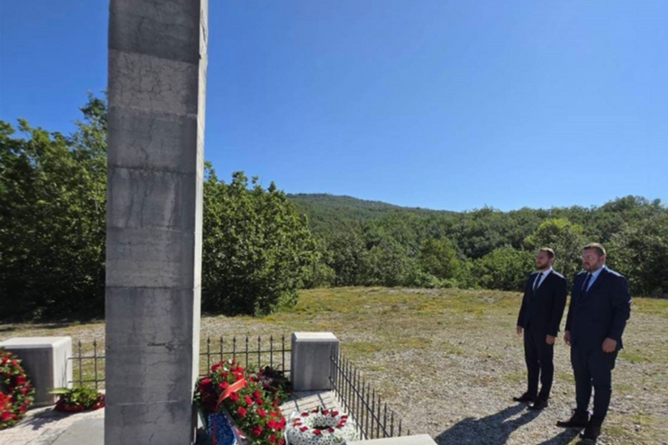 Potpredsjednik Koprivica