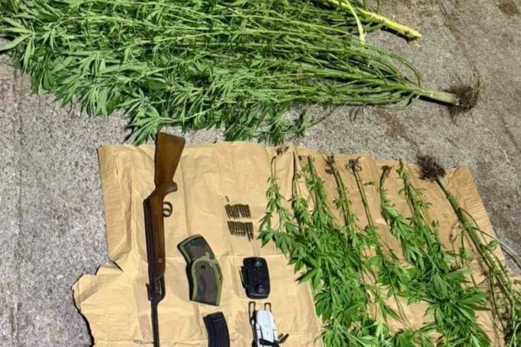 marihuana