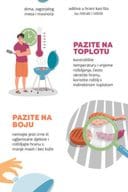 ROŠTILJAJTE PAMETNO - VODIČ