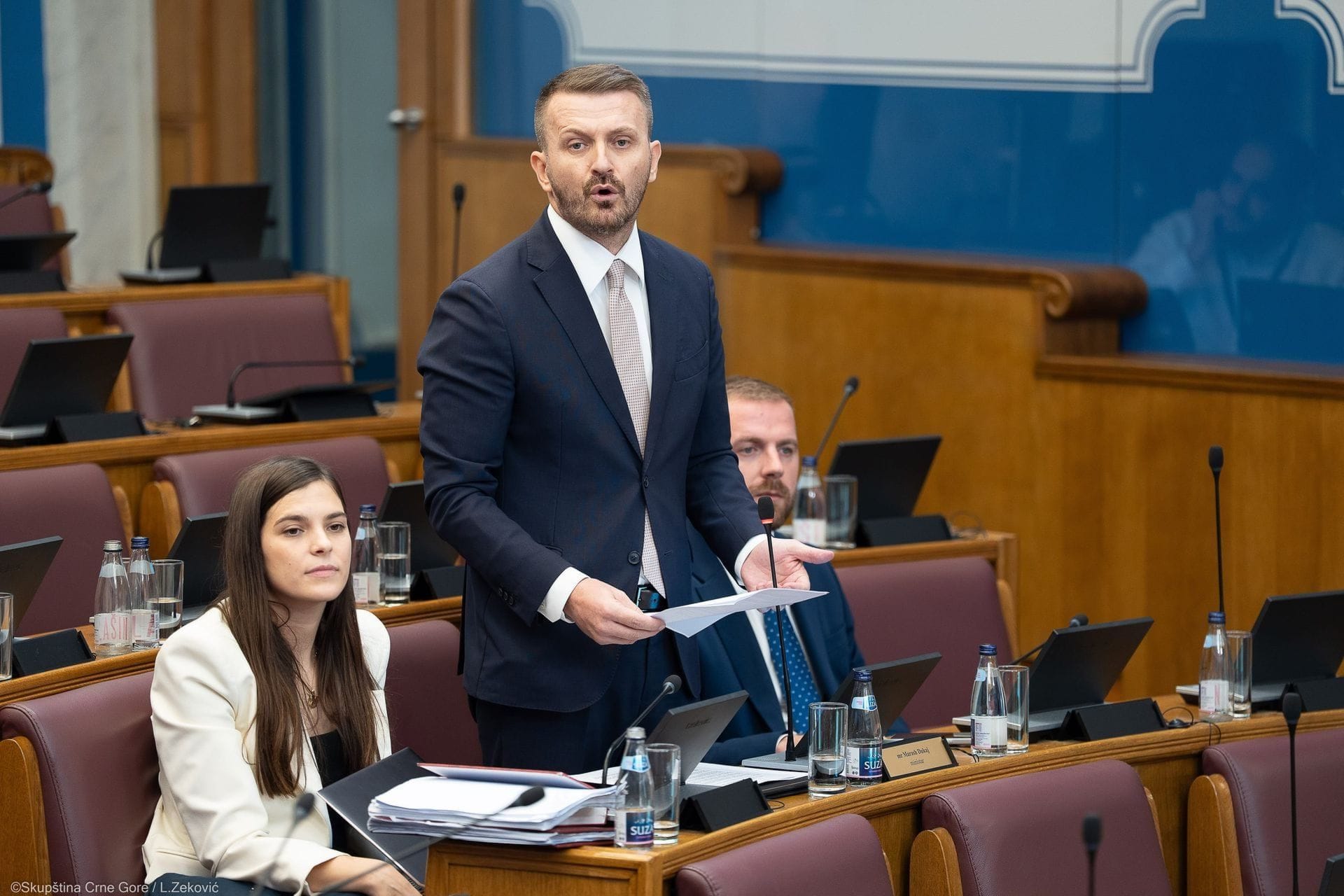 Vlada Crne Gore - fotografija članka
