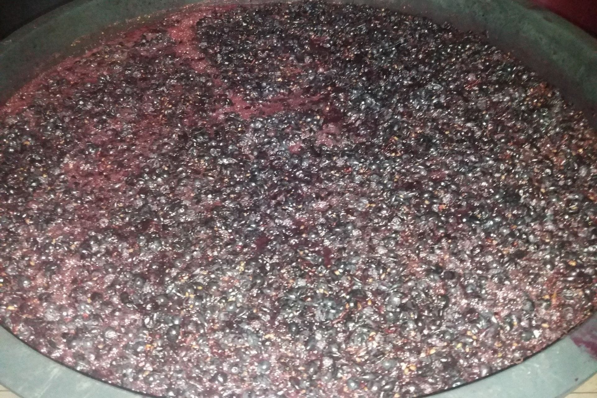 Vino - savjeti