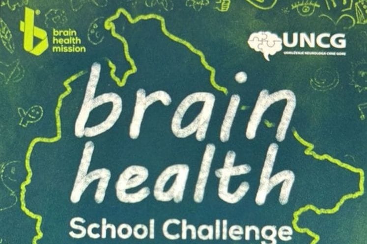Brain