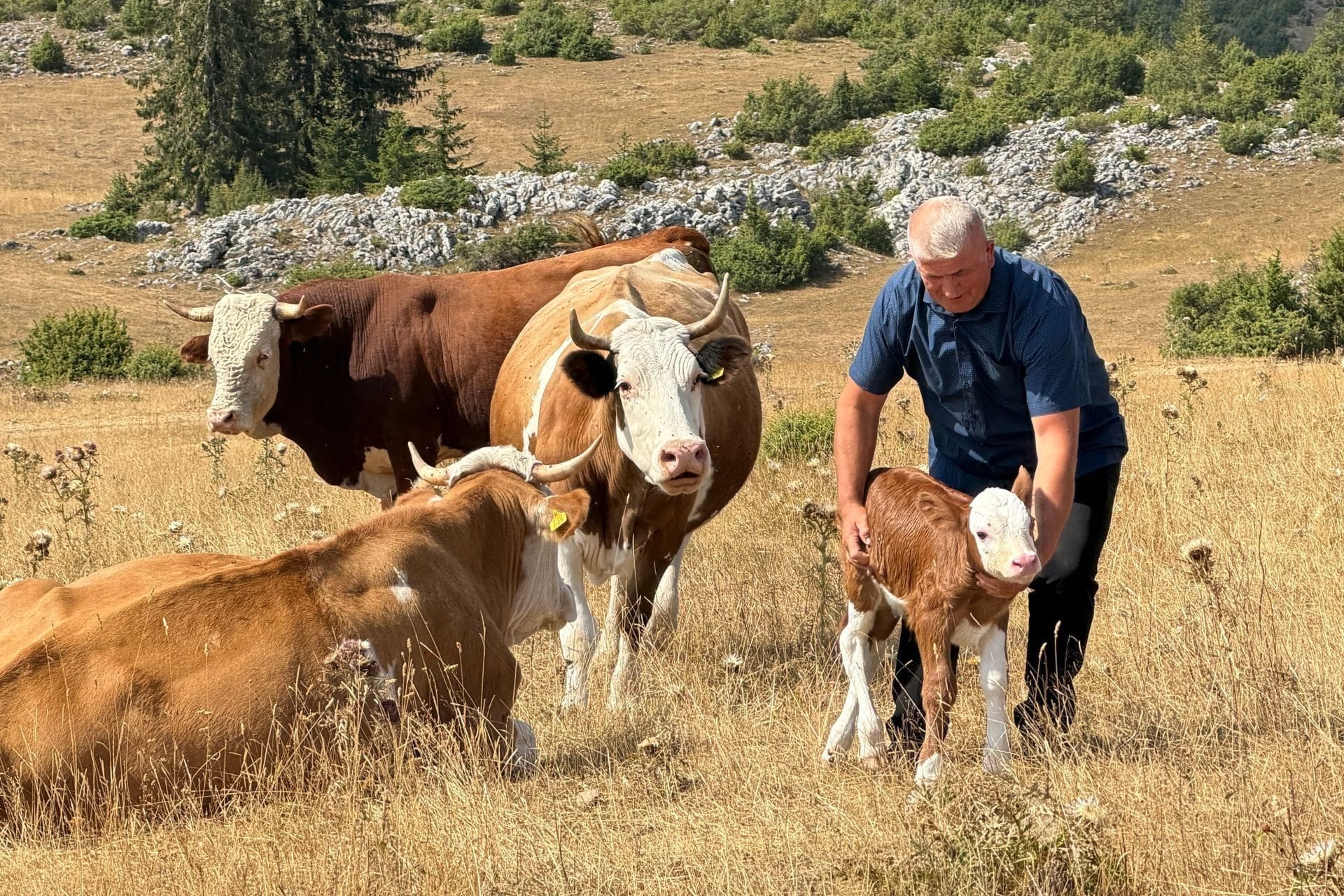Pločnik - Petnjica