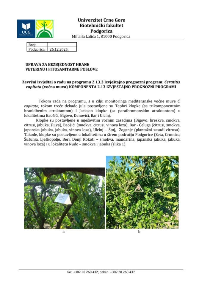 C. capitata 2025 završni