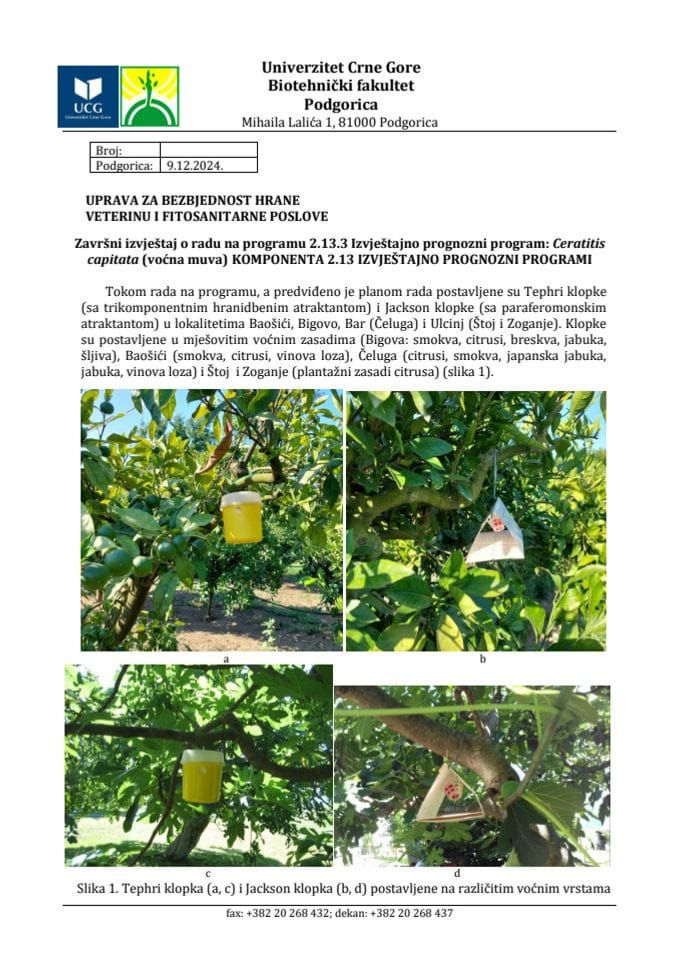 C. capitata 2024 završni