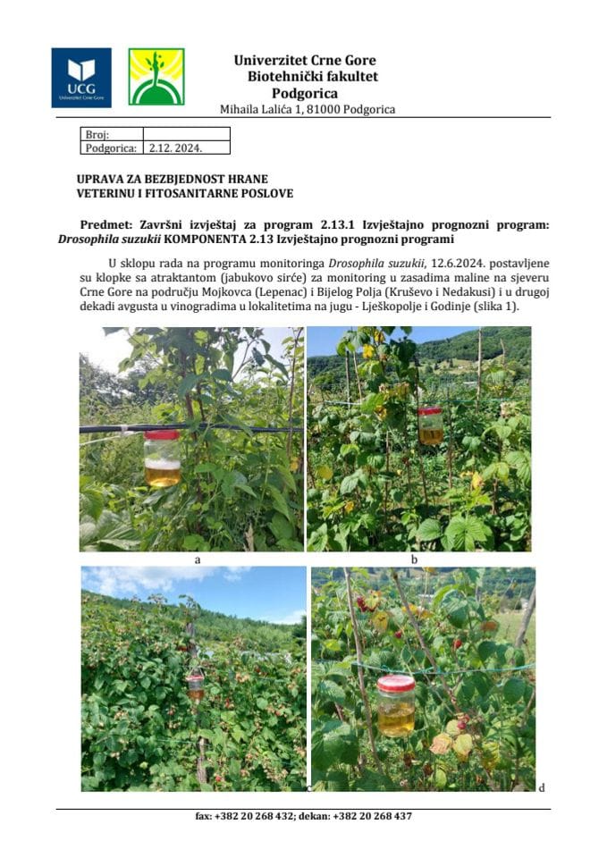 D. suzukii 2024 završni