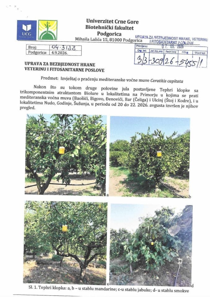 Ceratitis capitata izvještaj