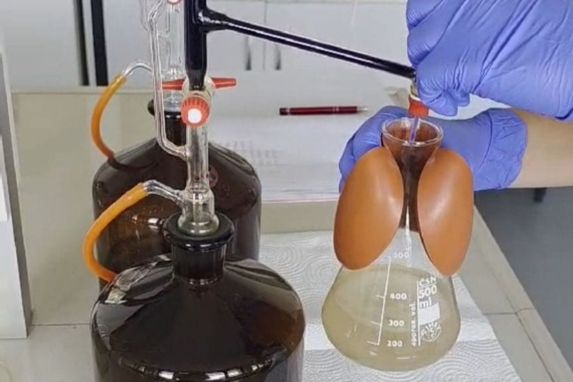 ECOBASE lab