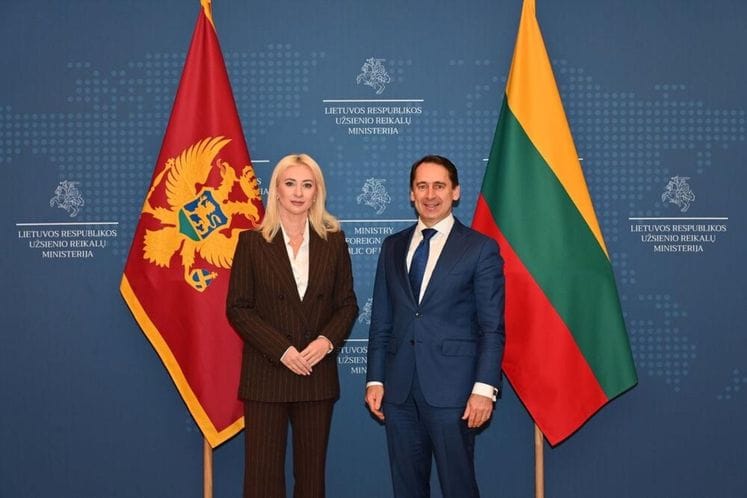min.gorcevic litvanija