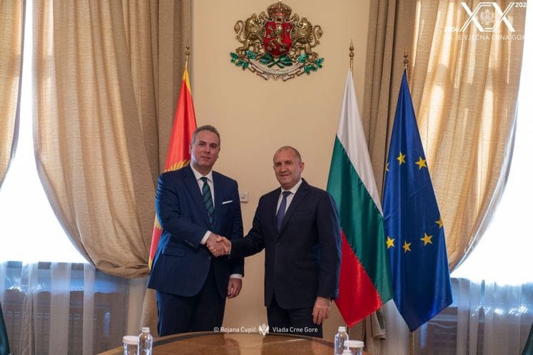 Ivanović - Radev