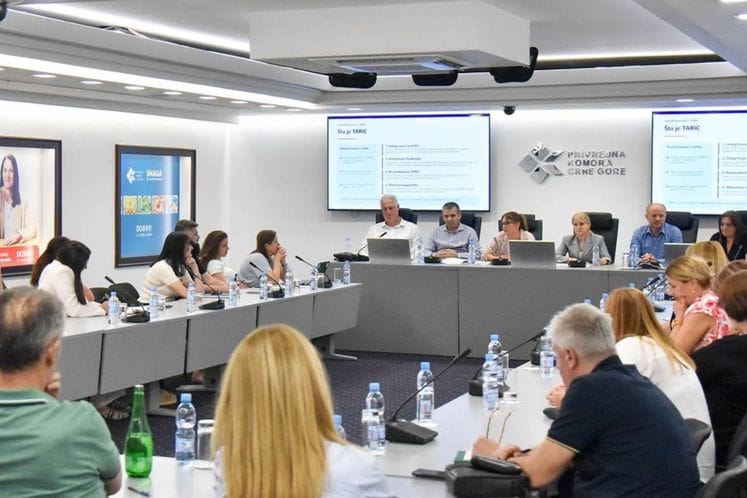 Uspješno predstavljene aktivnosti Uprave carina na razvoju novih IT sistema