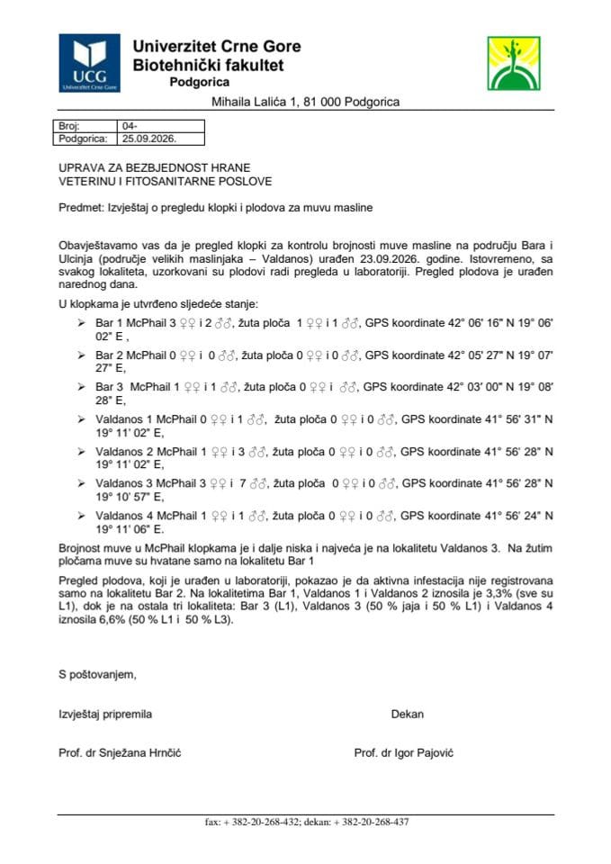 muva masline 14