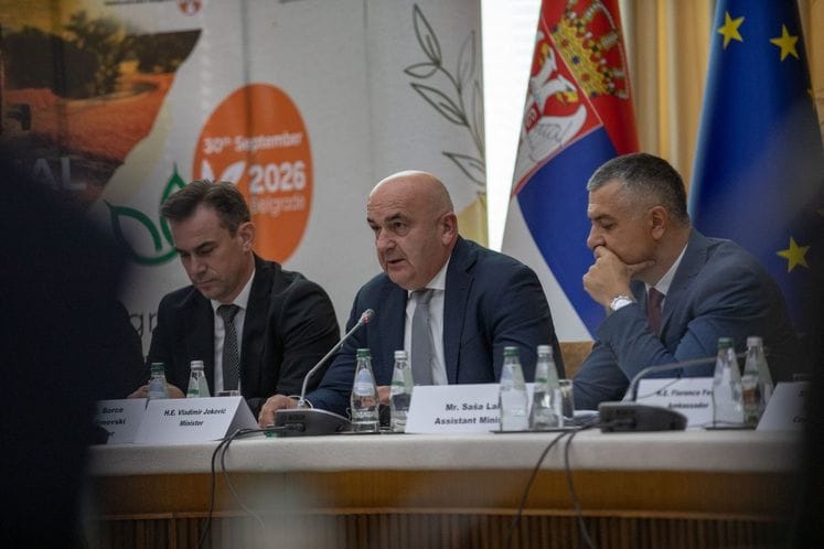SWG - Beograd