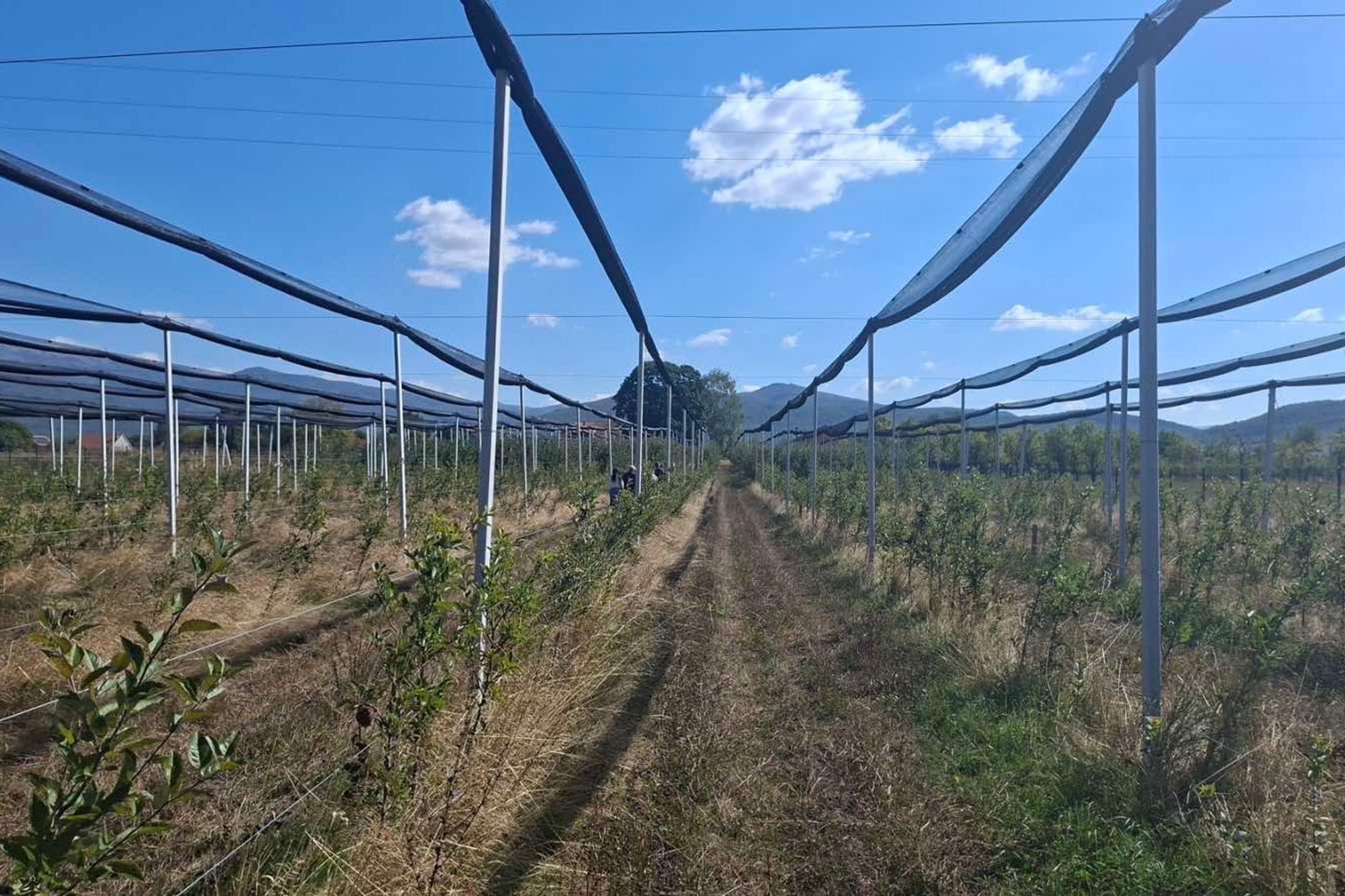 Terenske aktivnosti Savjetodavne službe