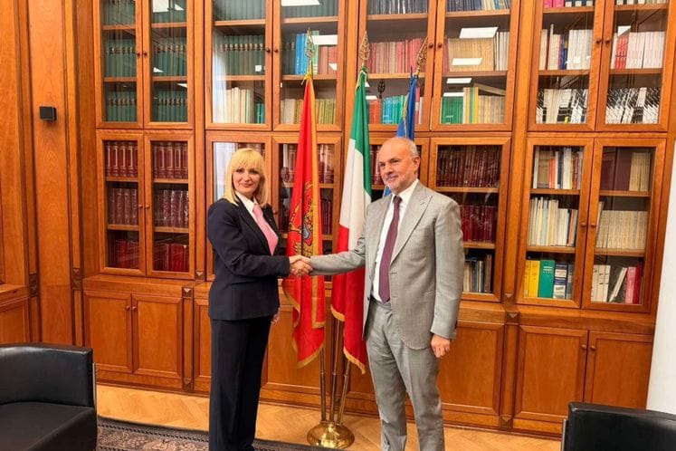 Borovinić Bojović sa ministrom zdravlja Italije