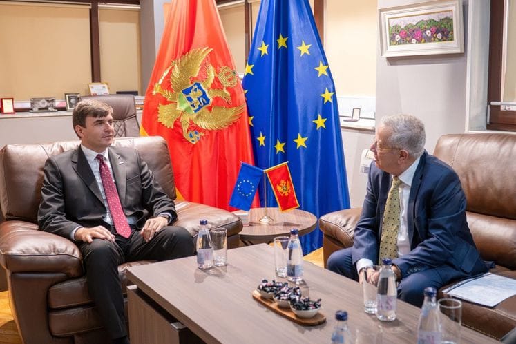 Ministar Azemović razgovarao sa ambasadorom Argentine o jačanju veza sa iseljenicima