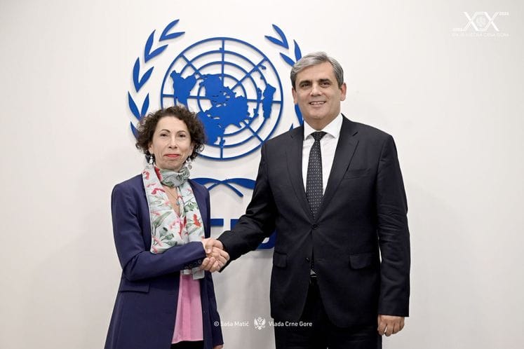 Ibrahimović UNRWA